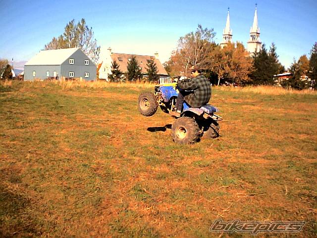 Photo 245278
