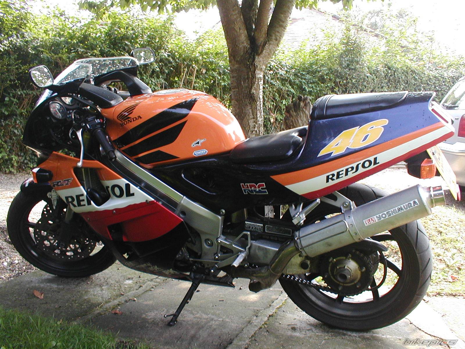 Photo 245280