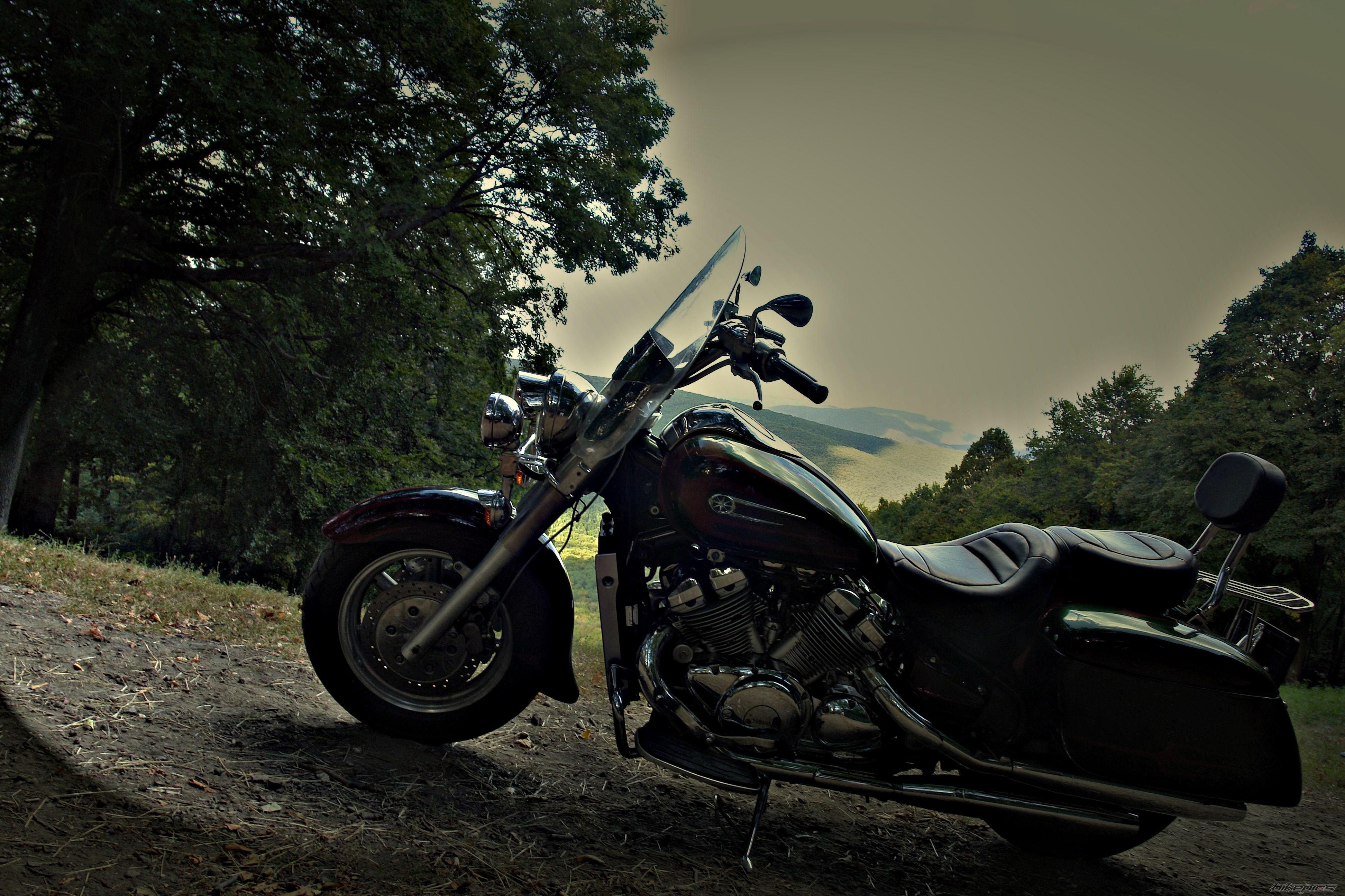 Photo 2452812