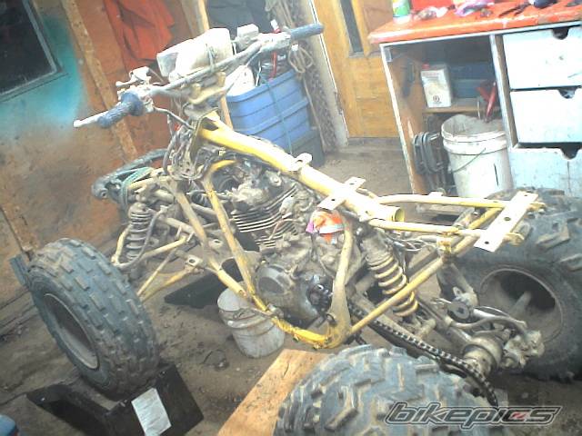 Photo 245287