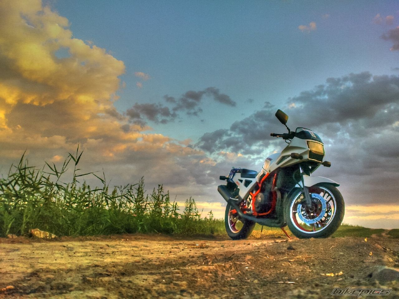 Photo 2452884