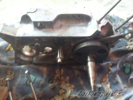 Photo 2452905