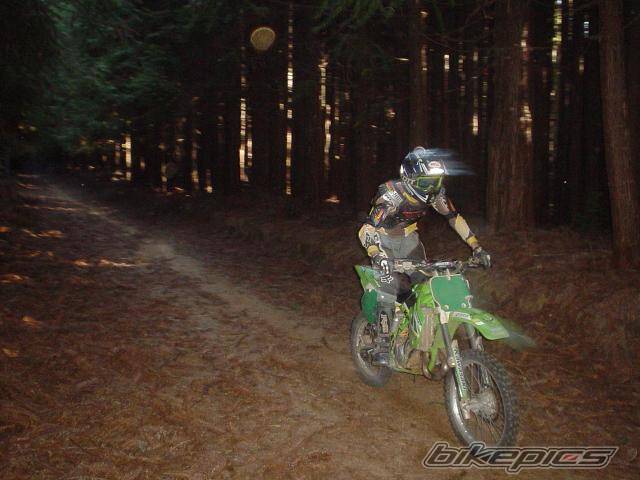 Photo 245291