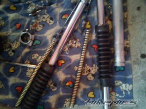Photo 2452922