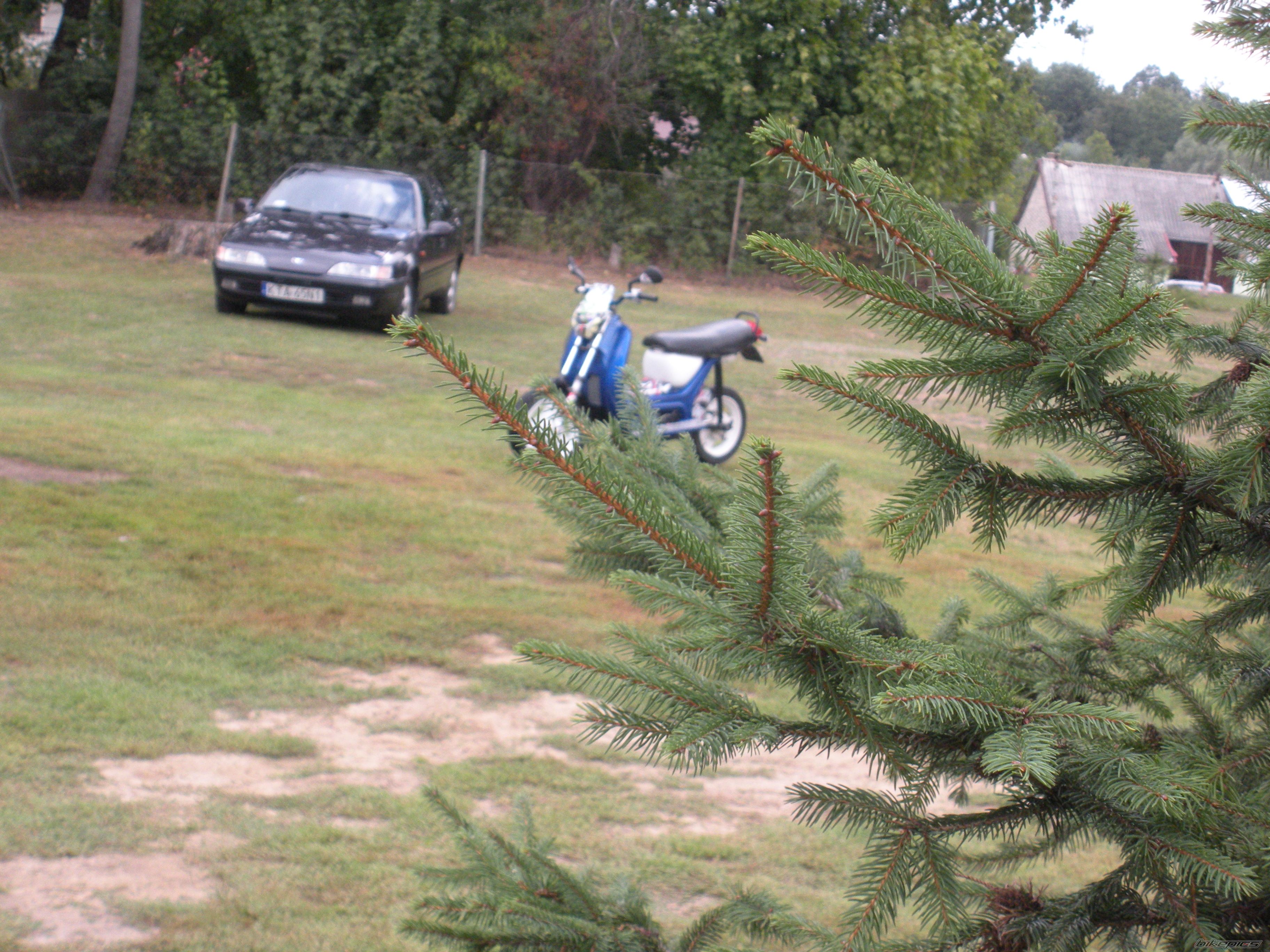 Photo 2452948