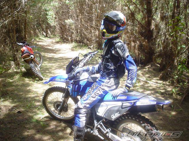 Photo 245295