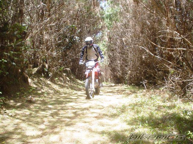Photo 245297
