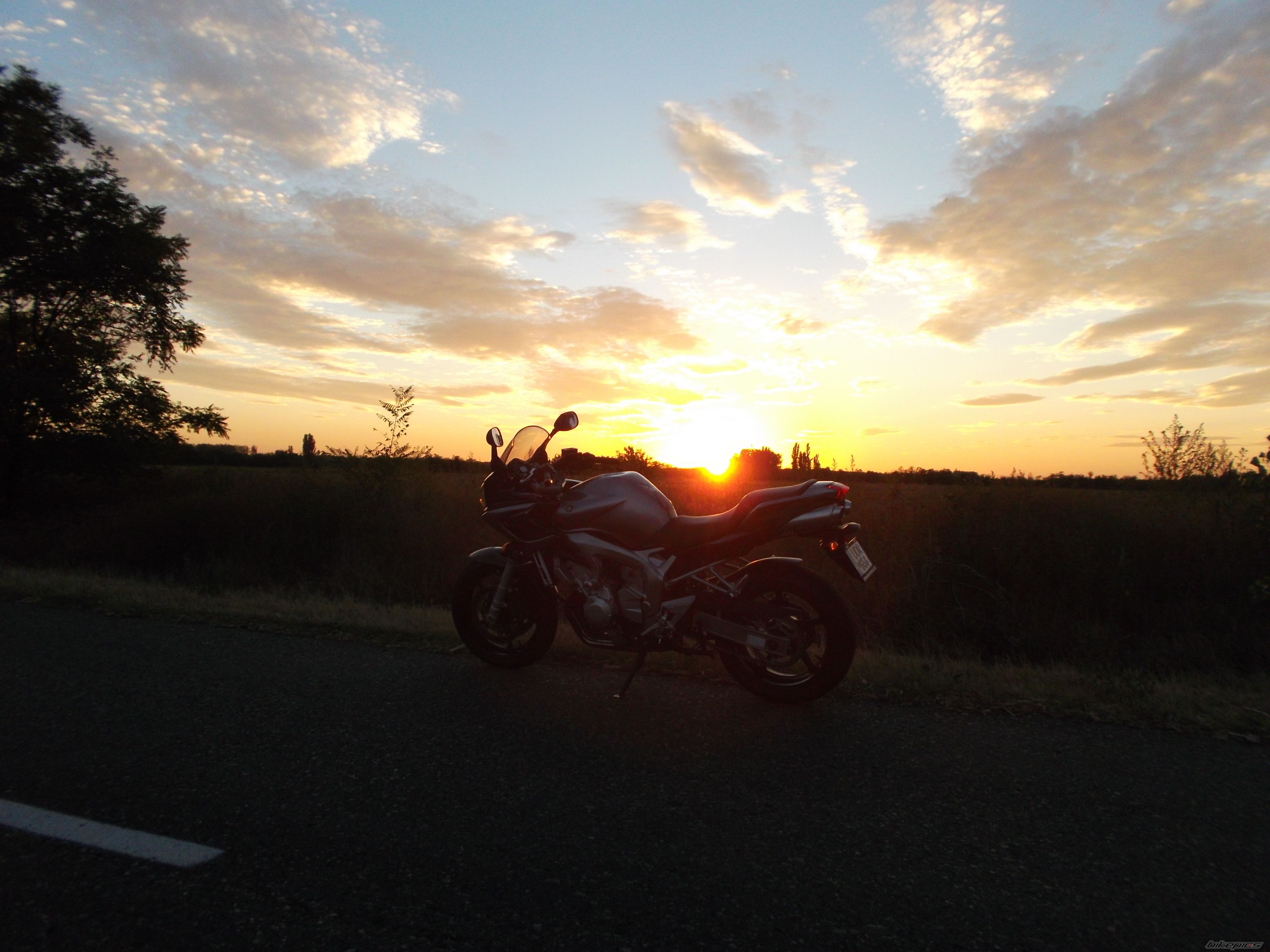 Photo 2452972