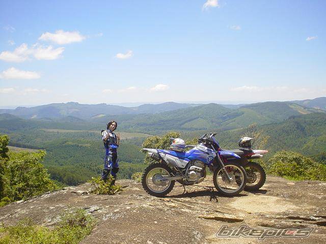 Photo 245299