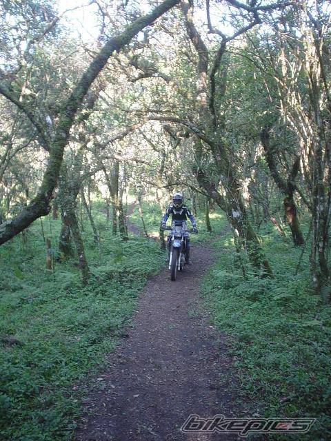 Photo 245302