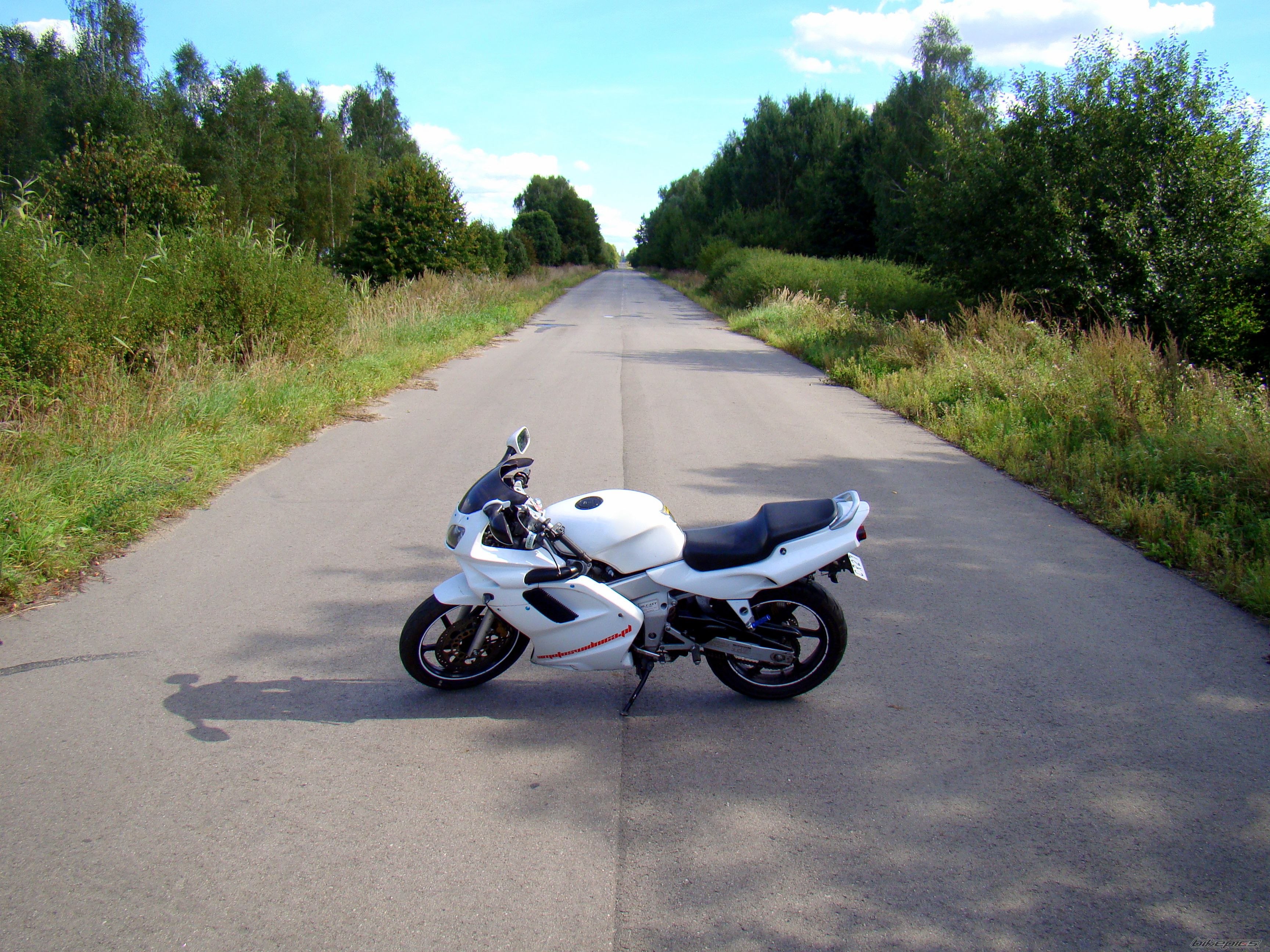 Photo 2453025