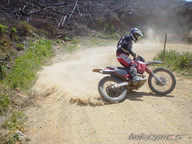 Photo 245303