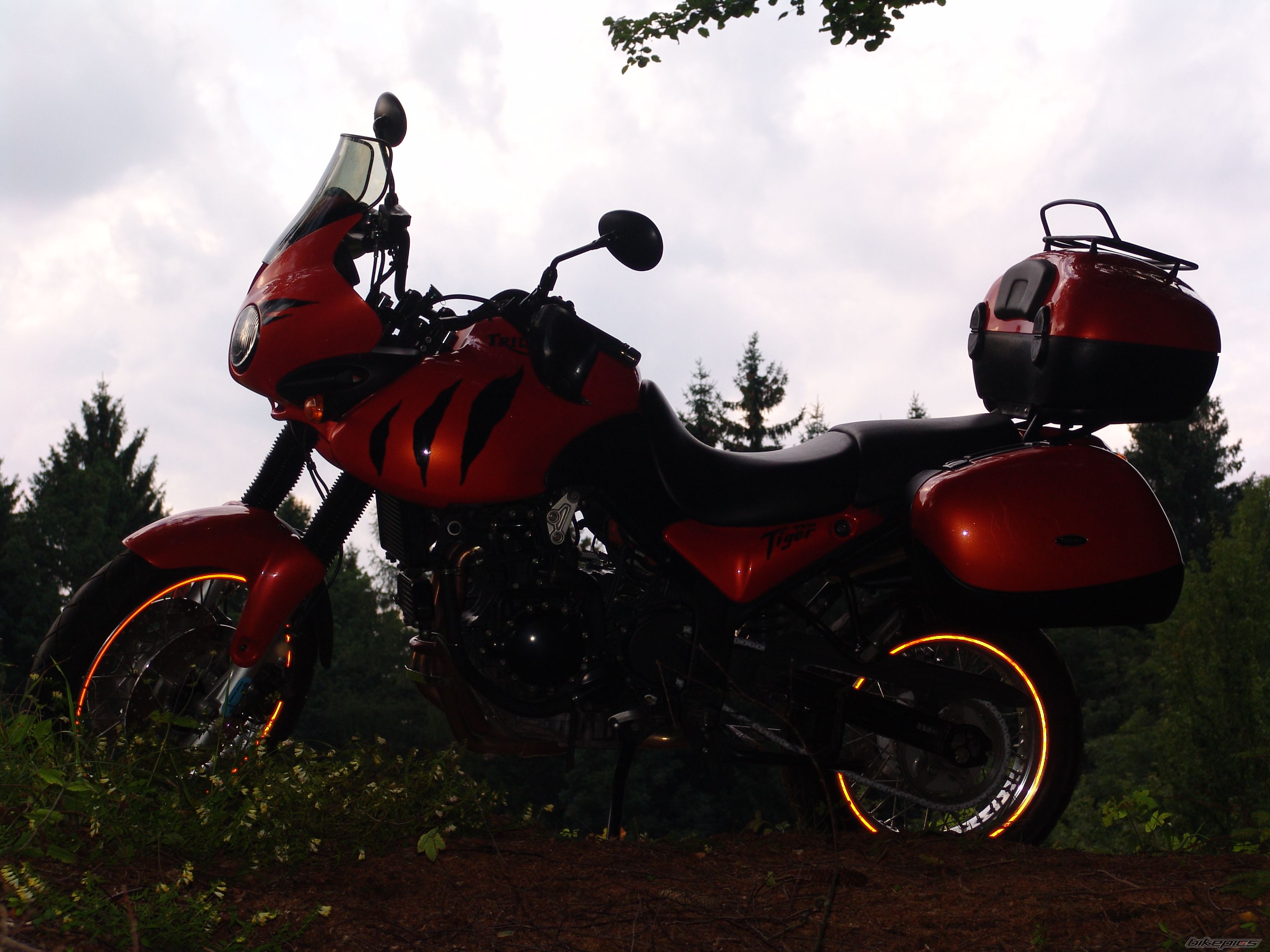 Photo 2453035