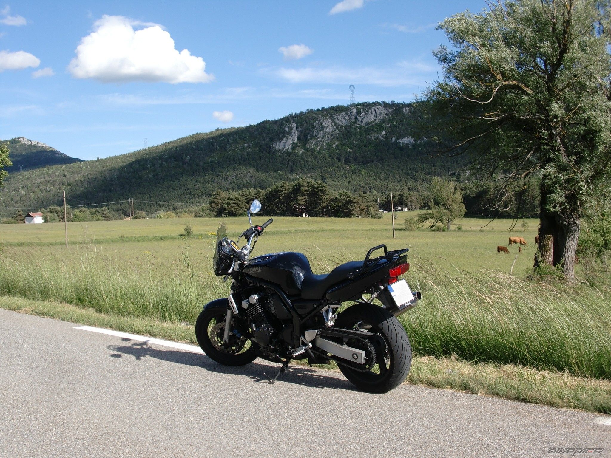 Bike Photo 2453036