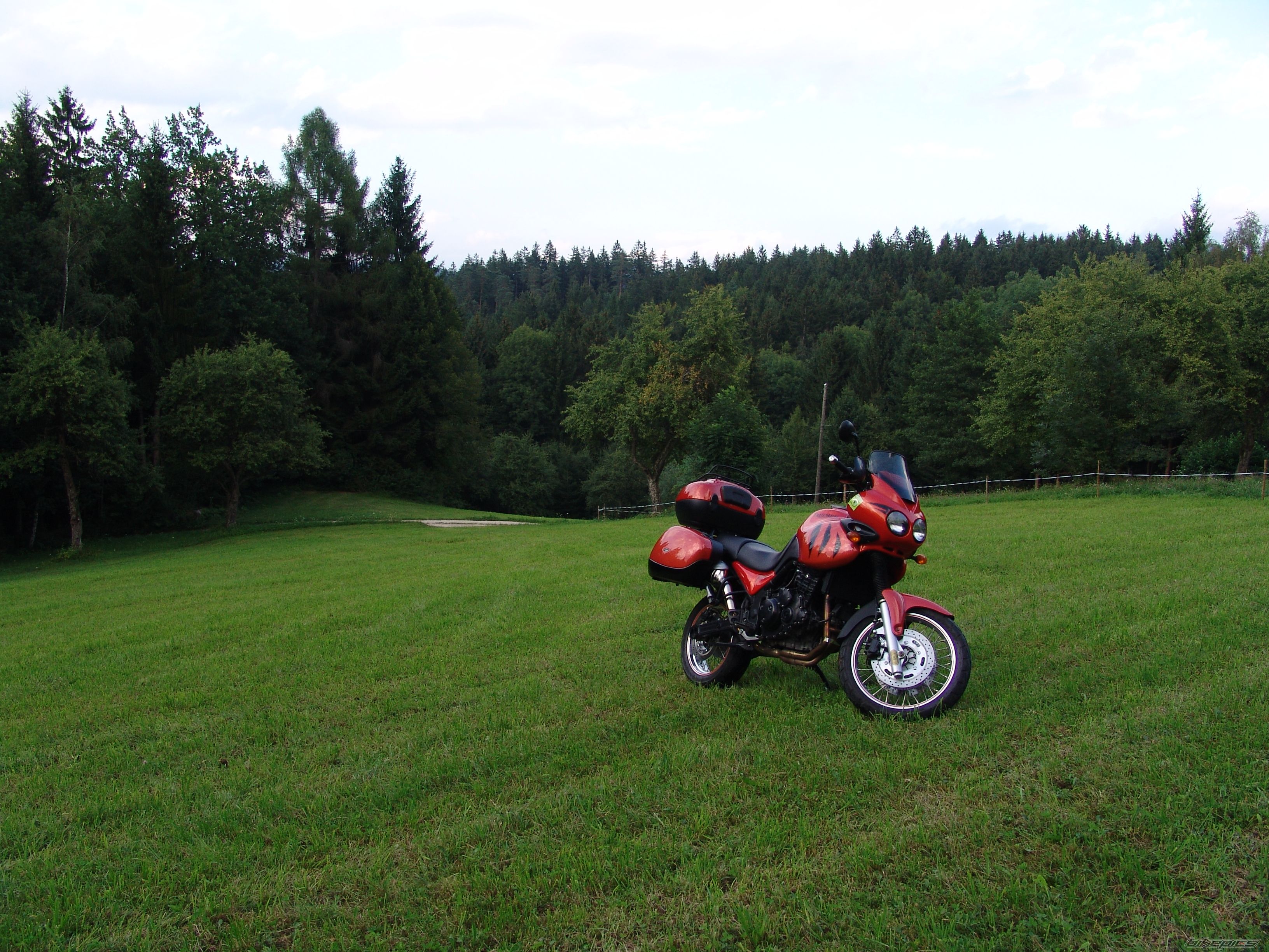Photo 2453054