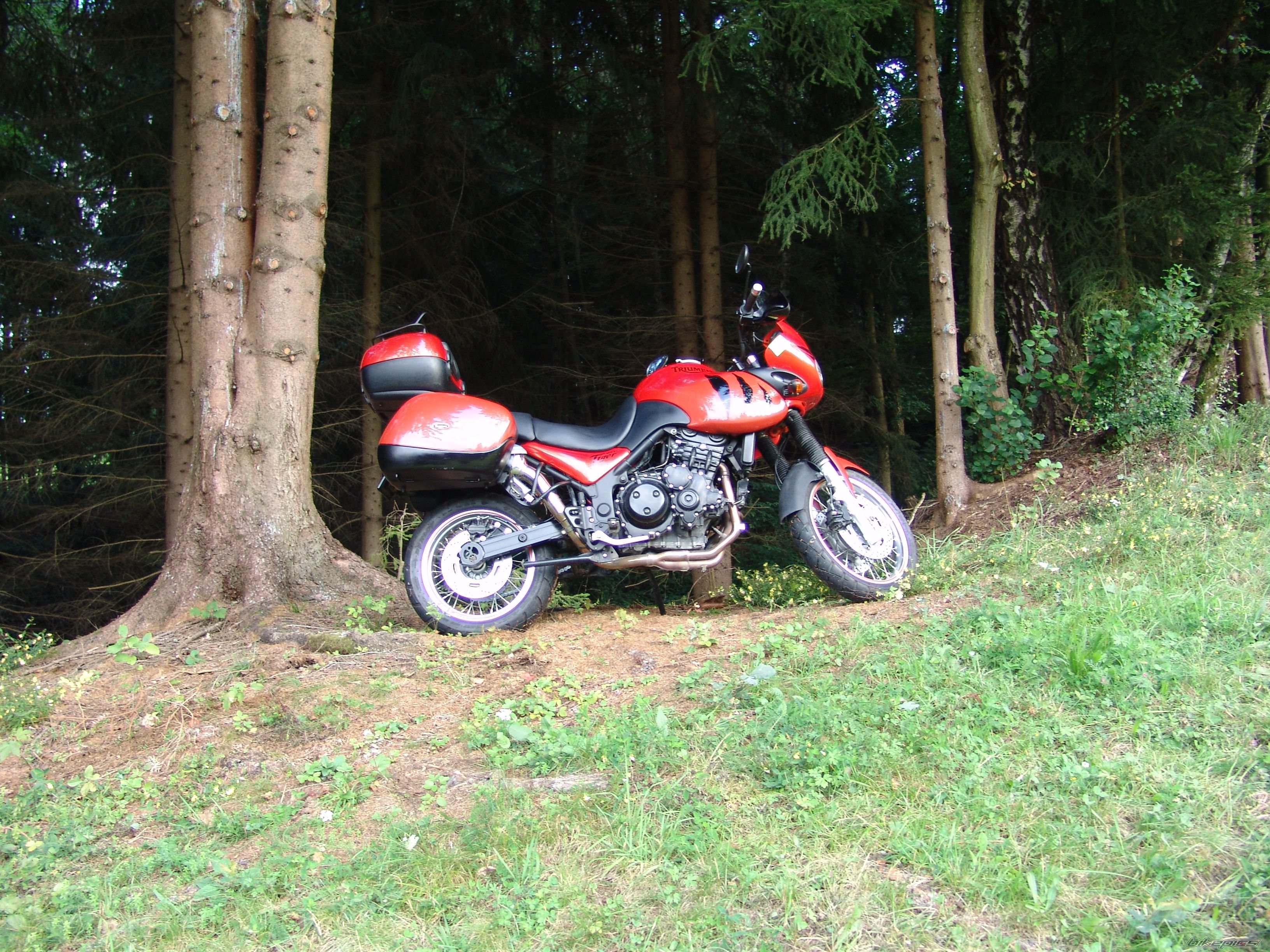 Photo 2453056