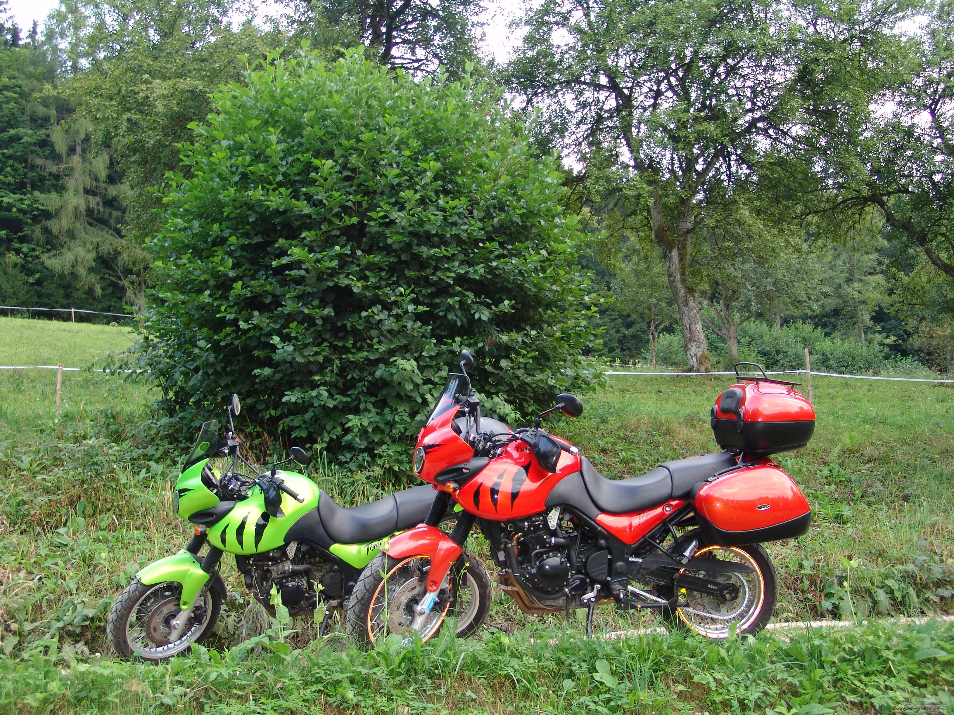 Photo 2453068