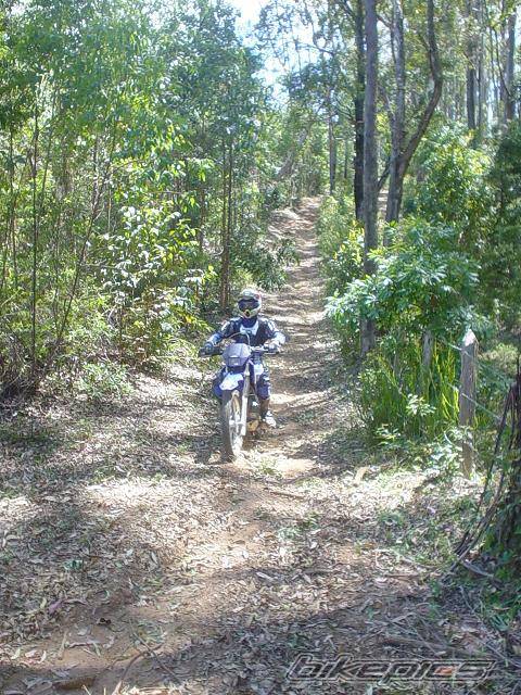 Photo 245309