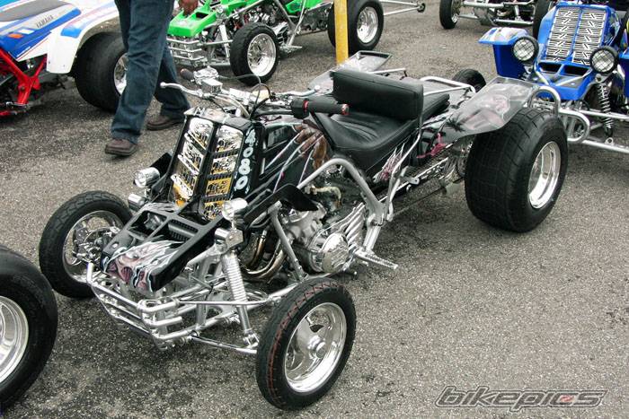 Photo 245318