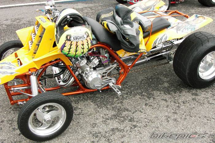 Photo 245325