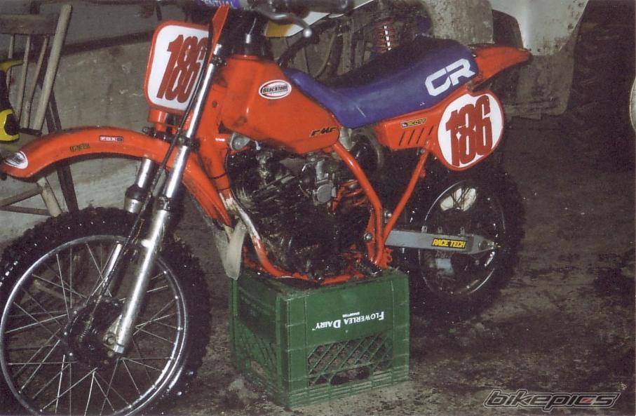 Bike Photo 245328