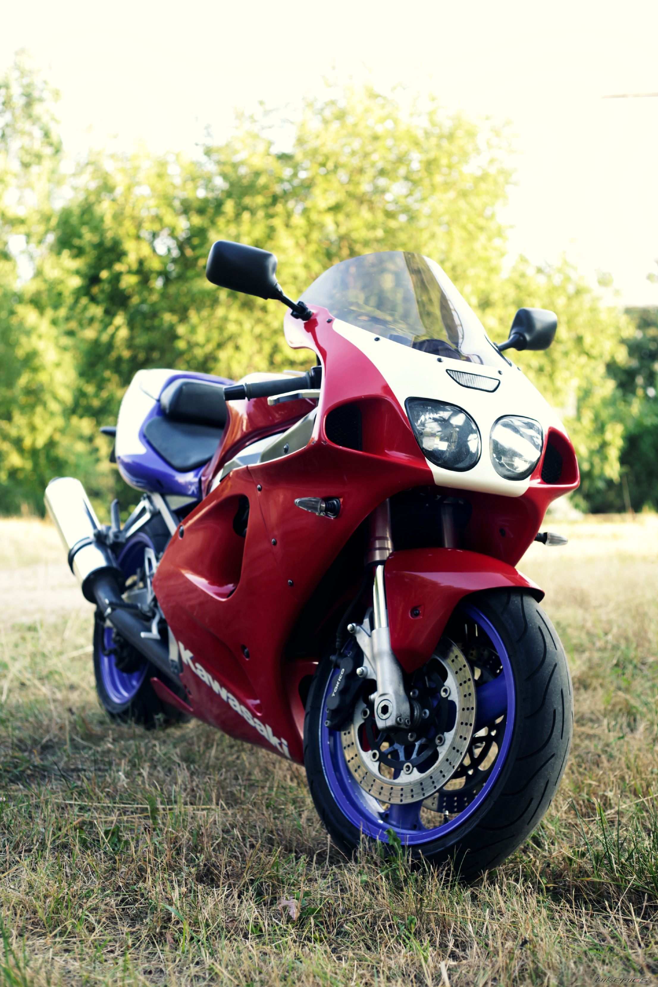 Photo 2453292
