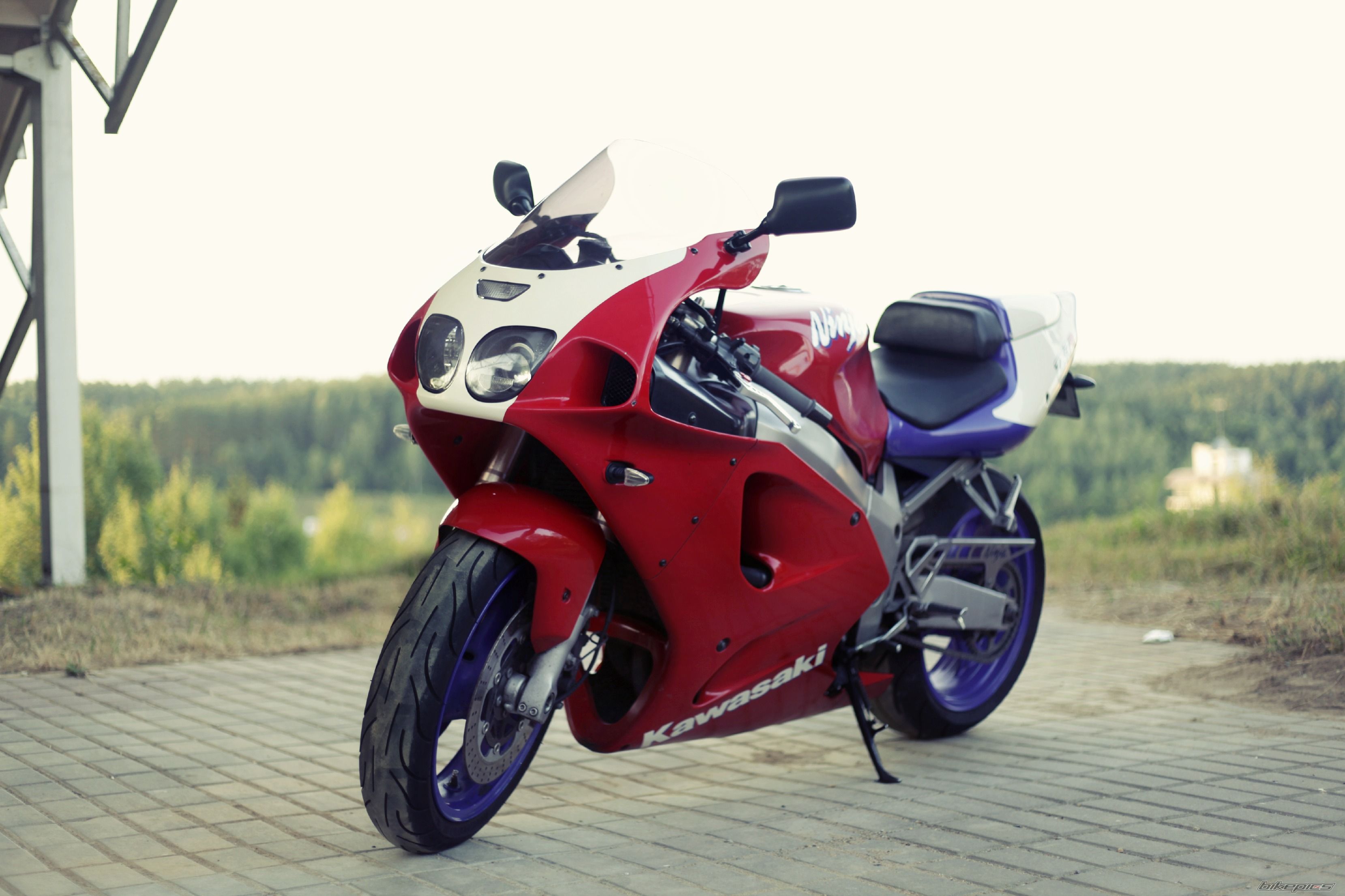 Photo 2453294