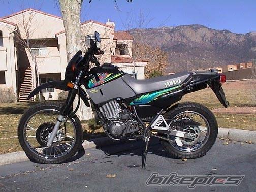Photo 24533