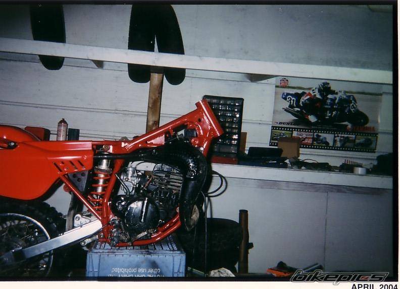 Bike Photo 245331