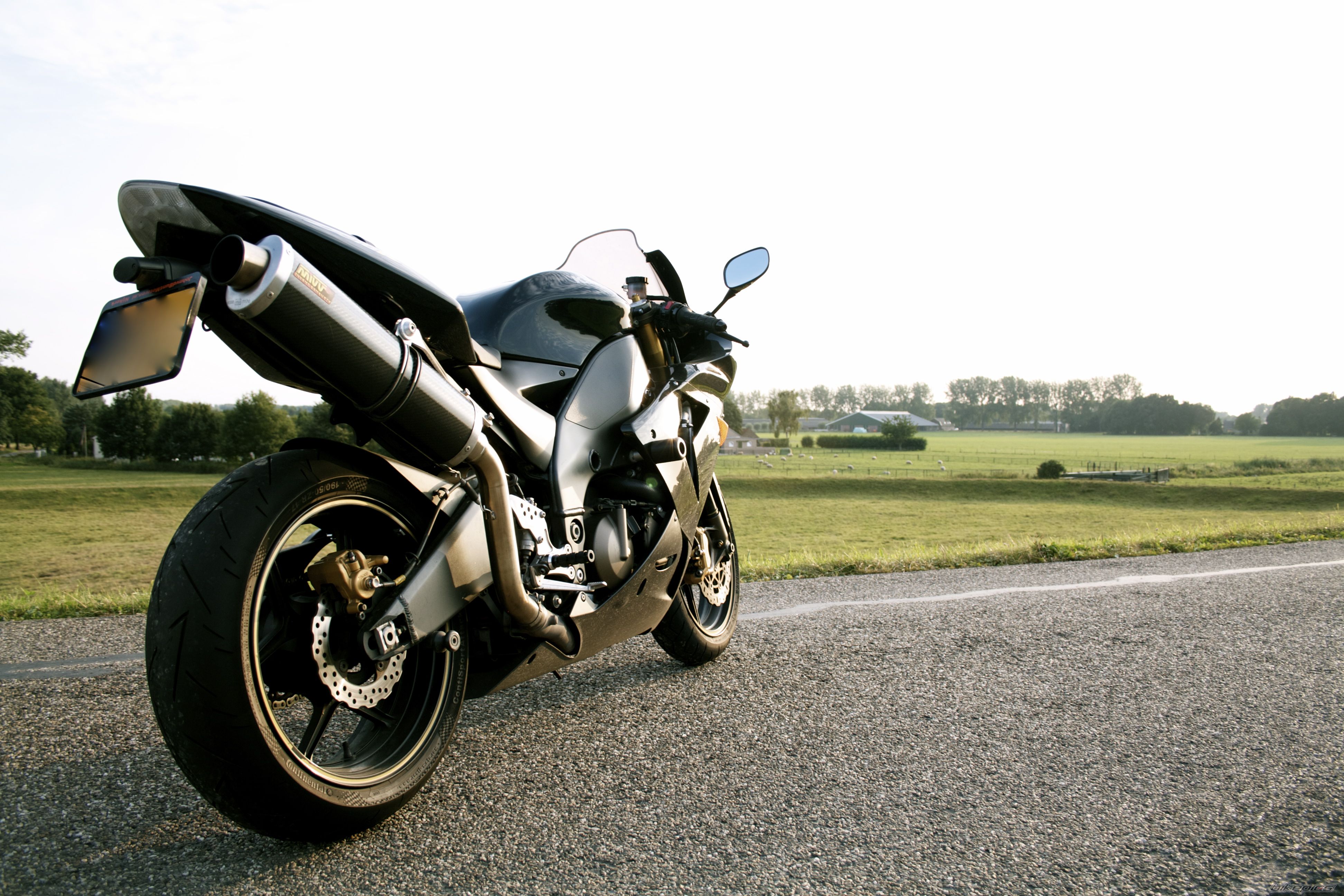 Photo 2453327