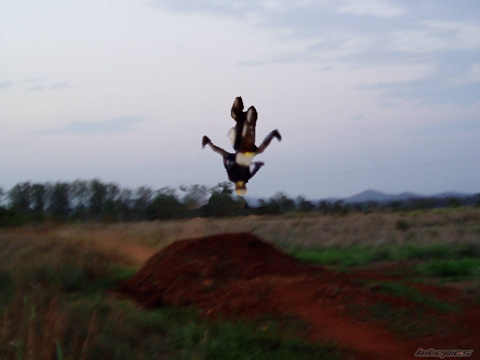 Photo 245333