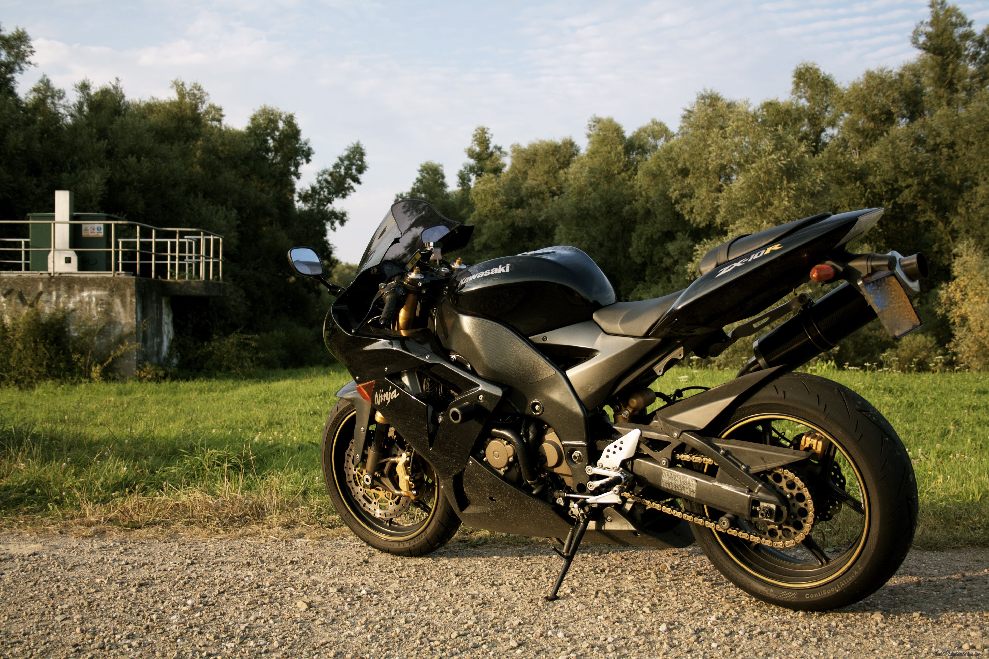 Photo 2453332