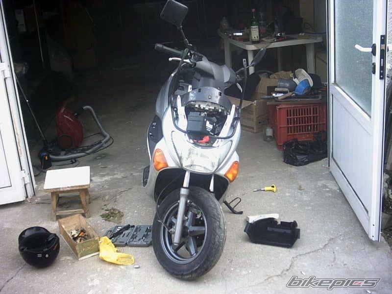 Photo 245335
