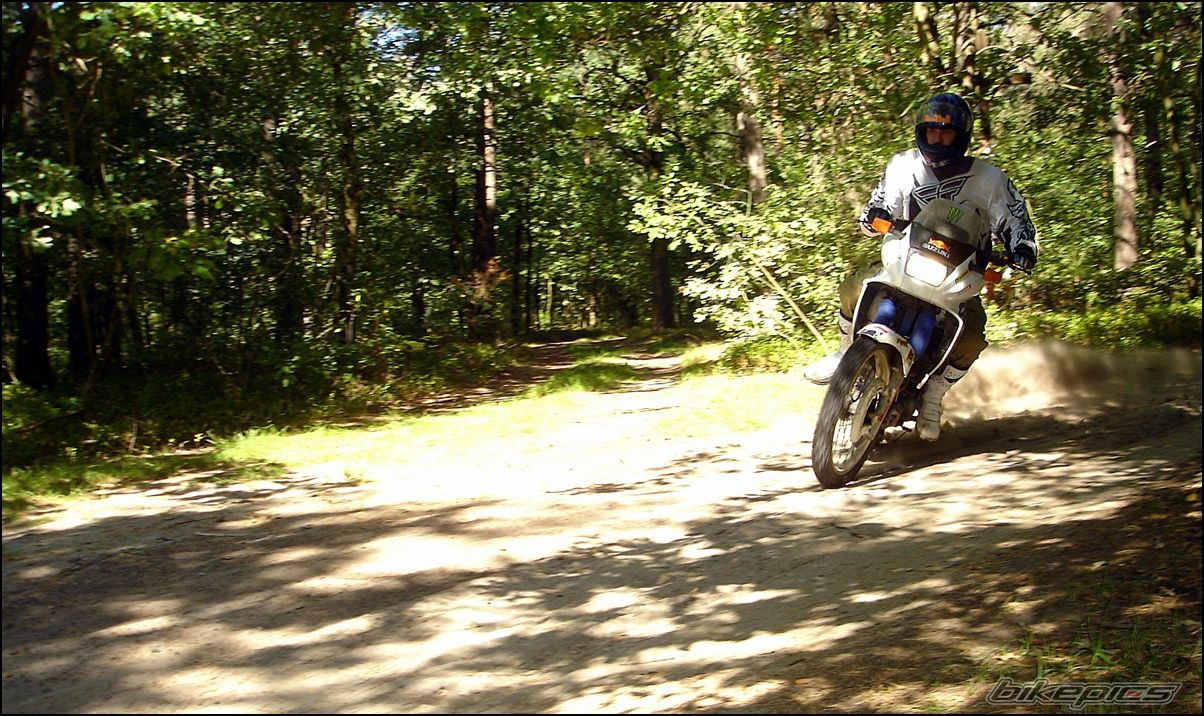 Photo 2453362