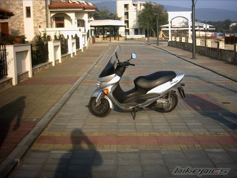 Photo 245338