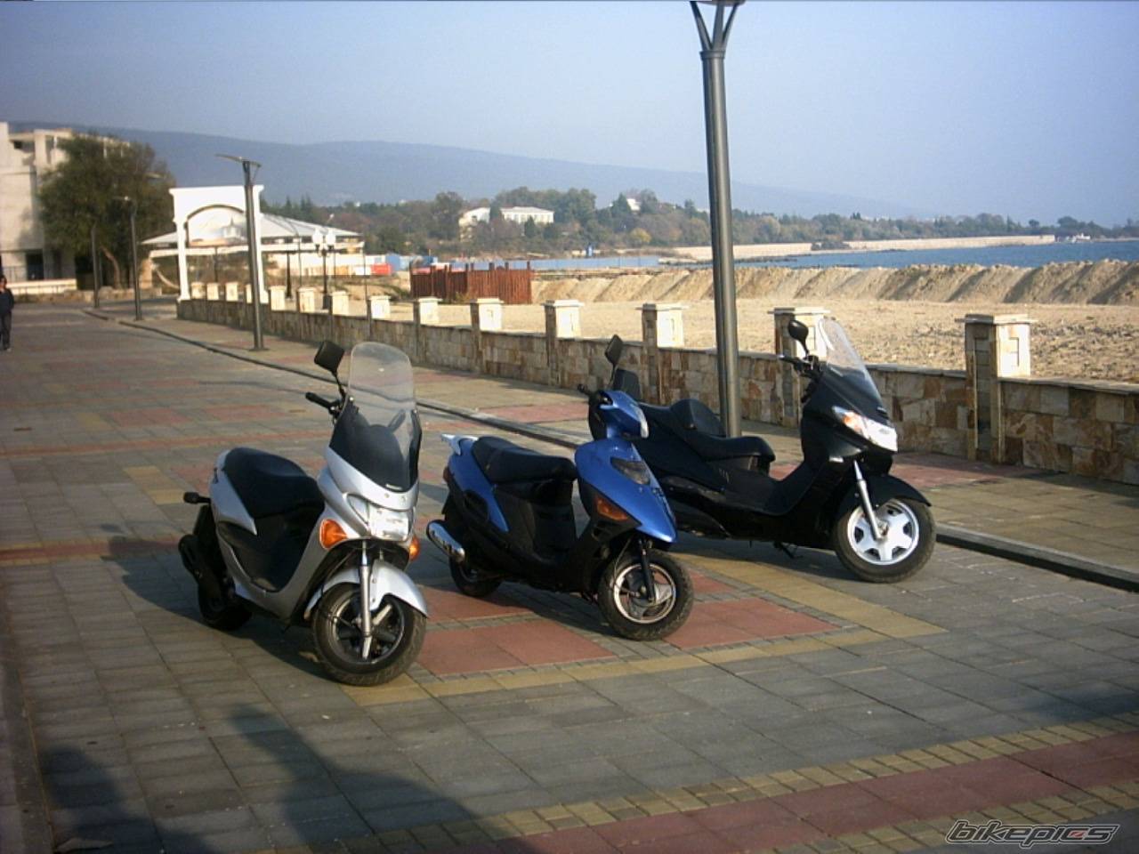 Photo 245339