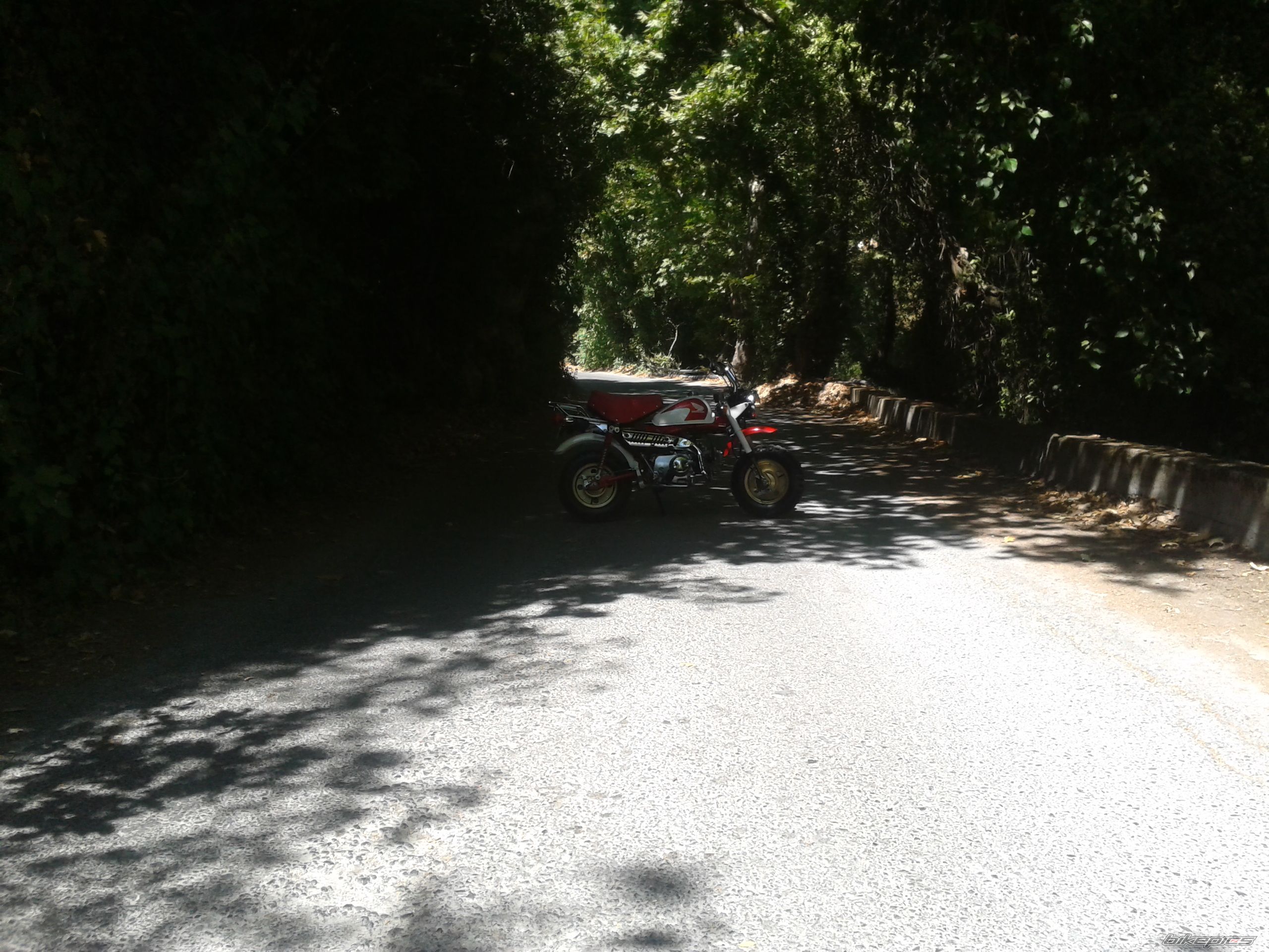 Photo 2453398