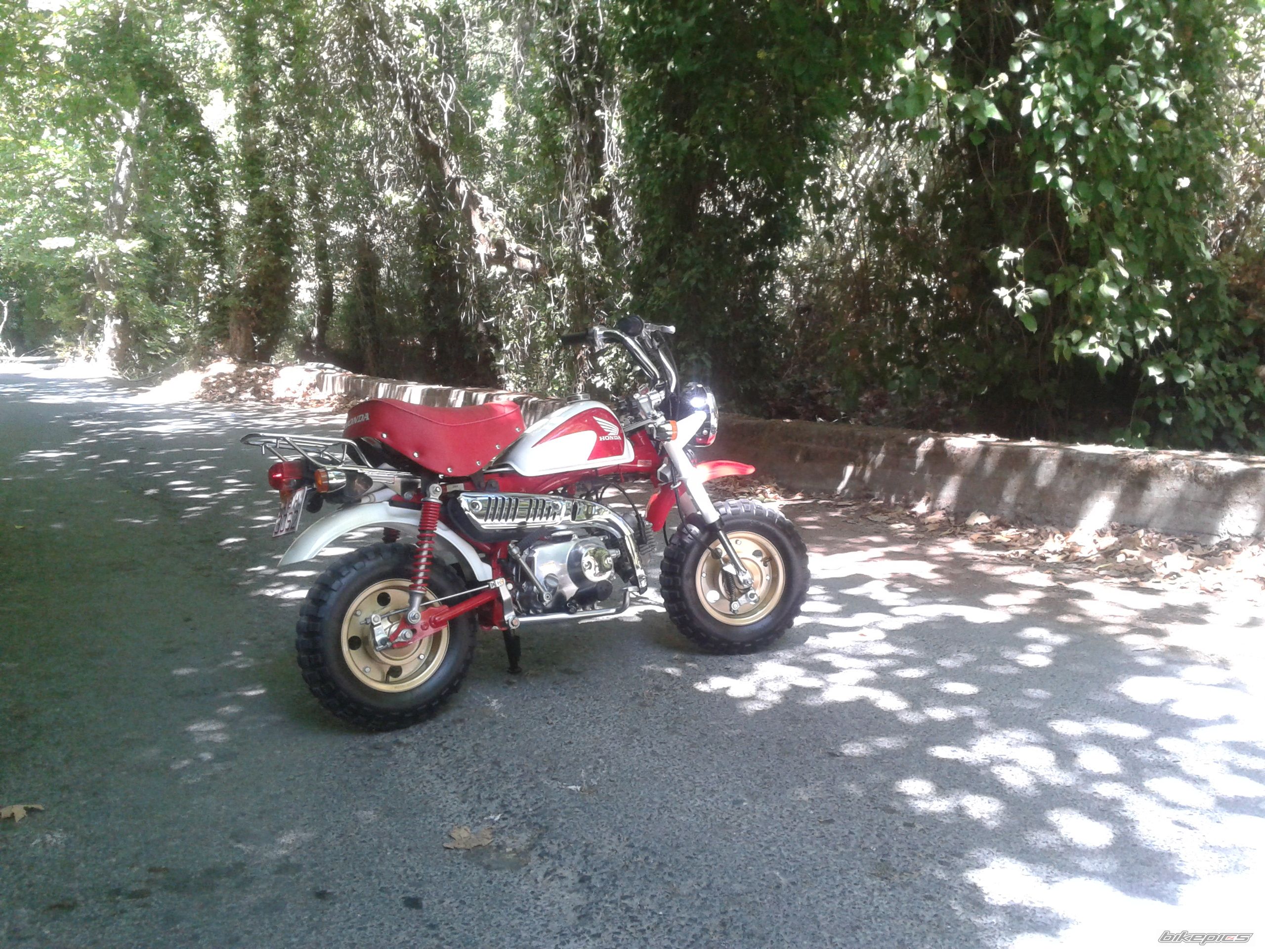 Photo 2453399