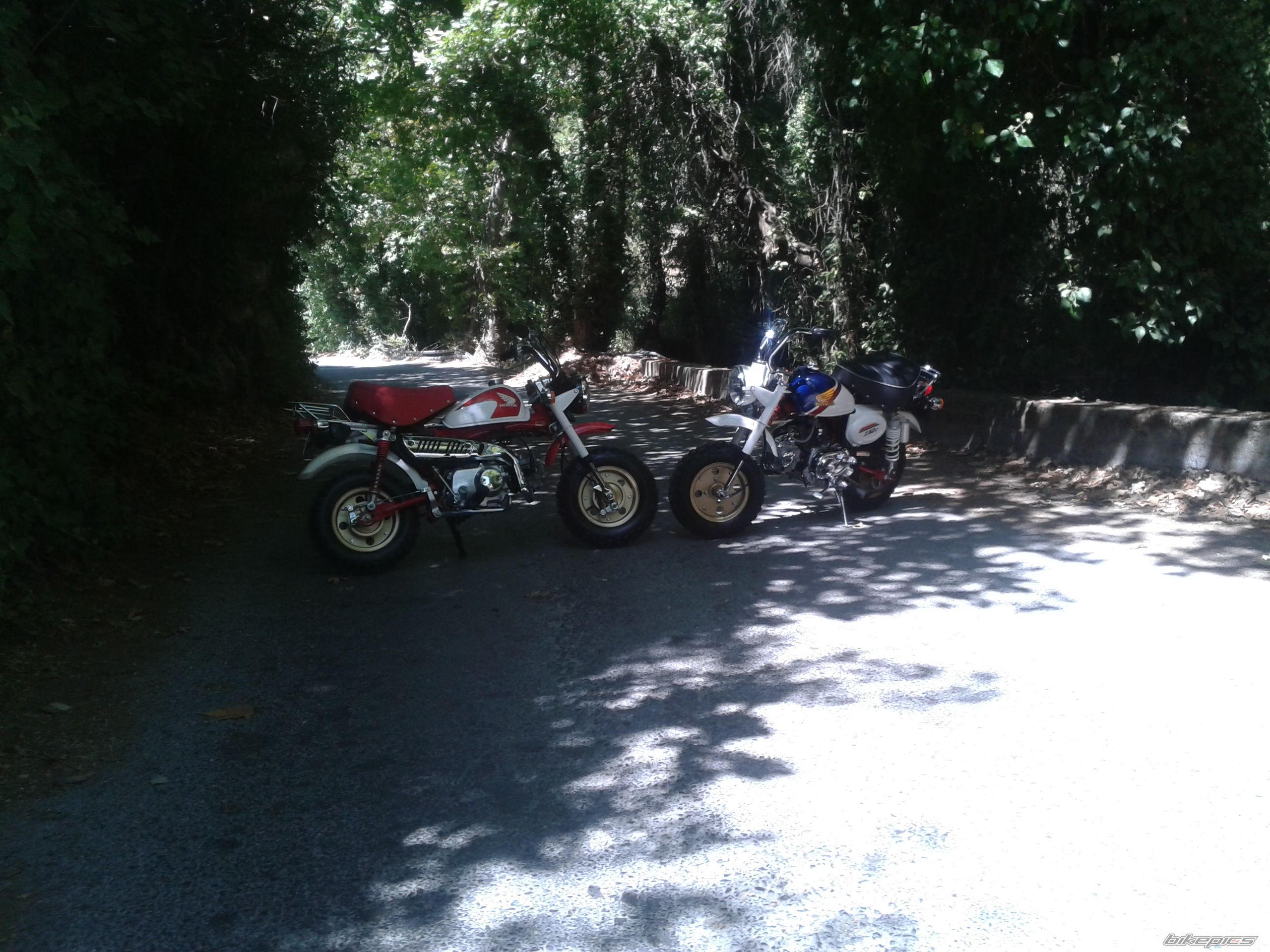 Photo 2453400