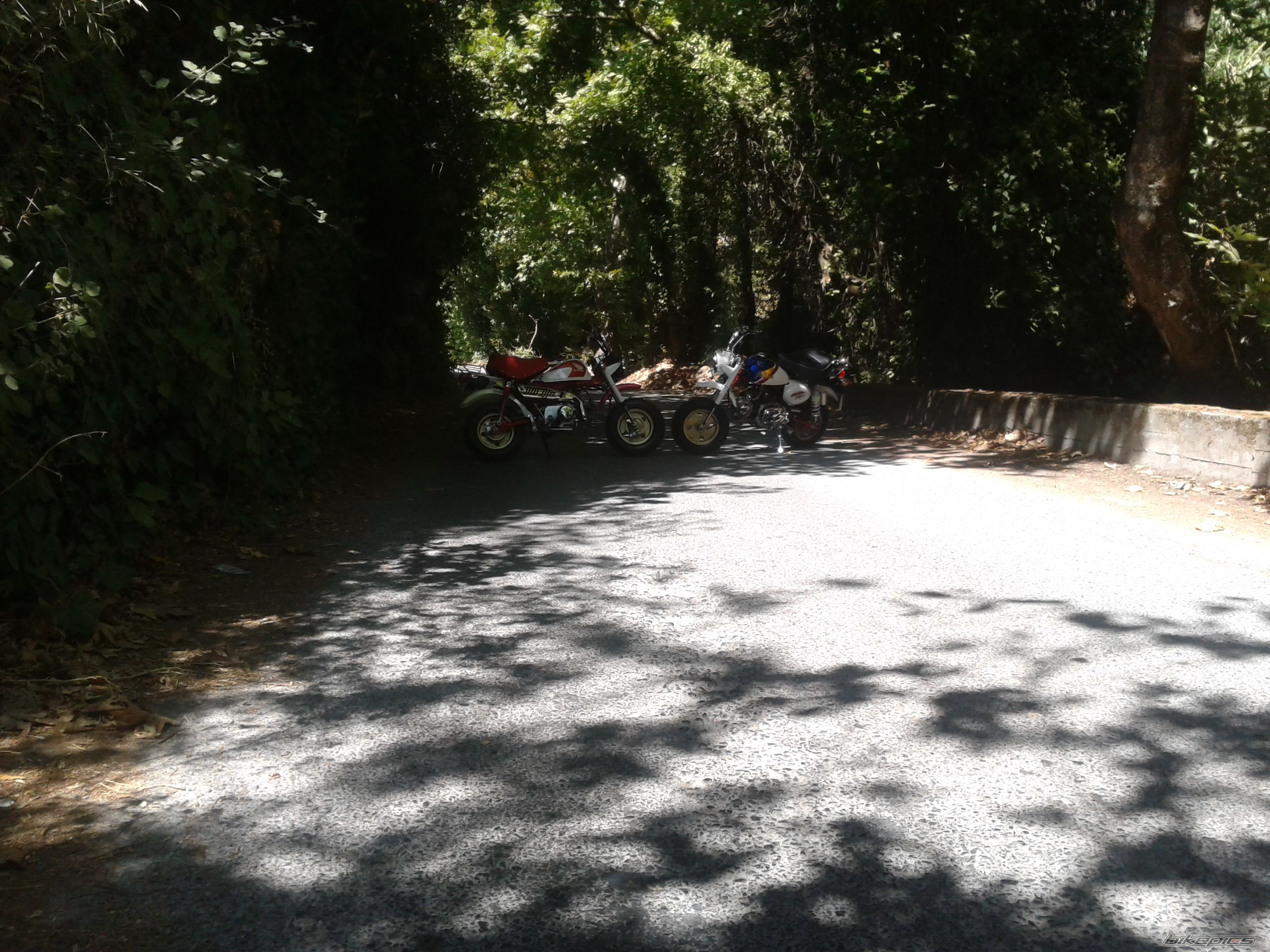 Photo 2453401