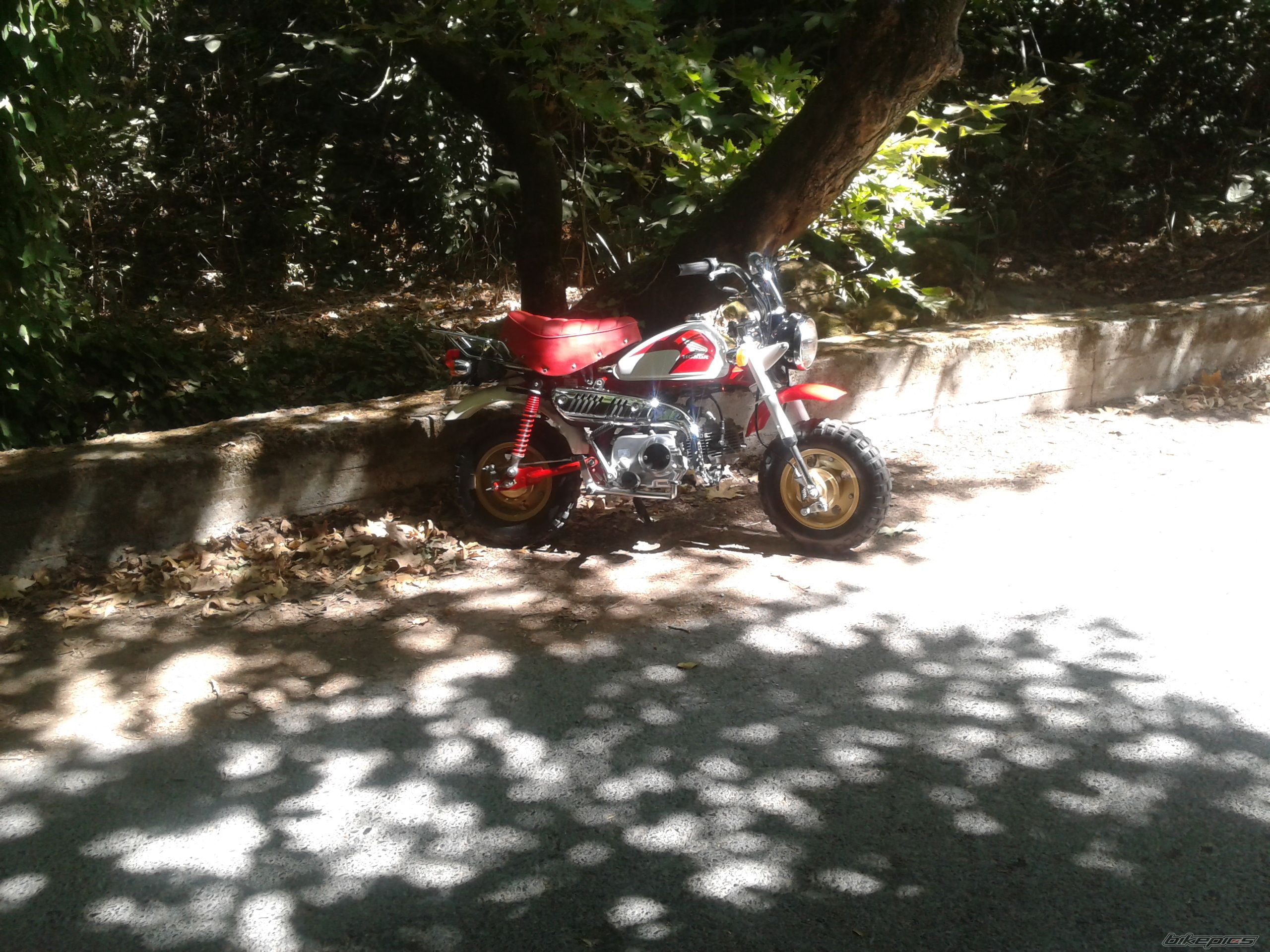 Photo 2453402