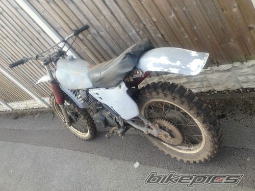 Photo 2453413
