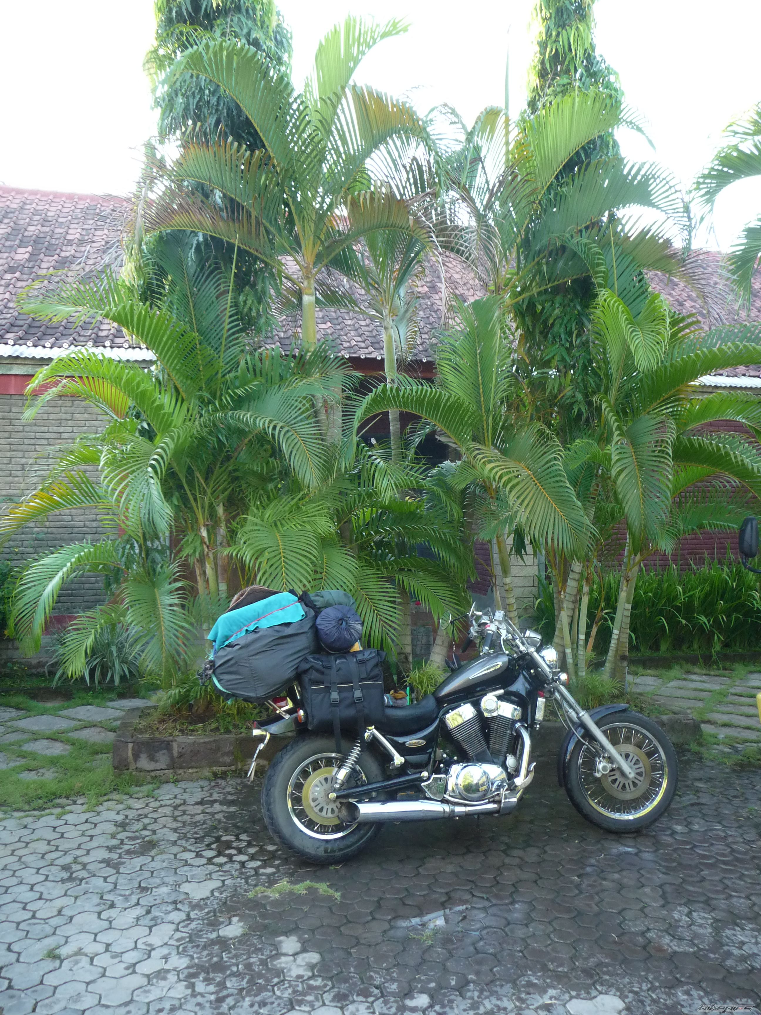 Photo 2453423
