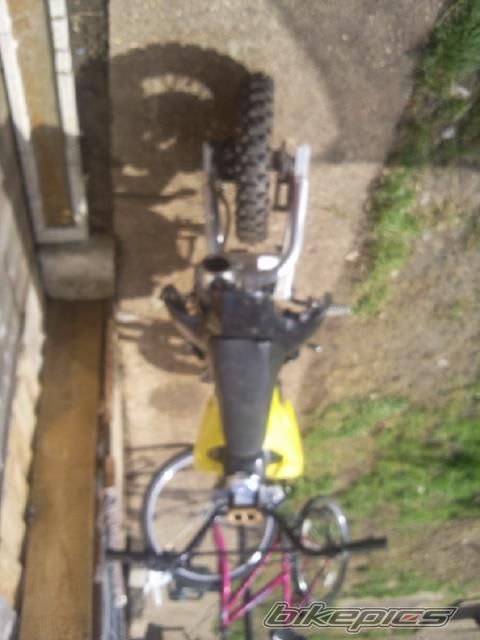 Photo 2453428