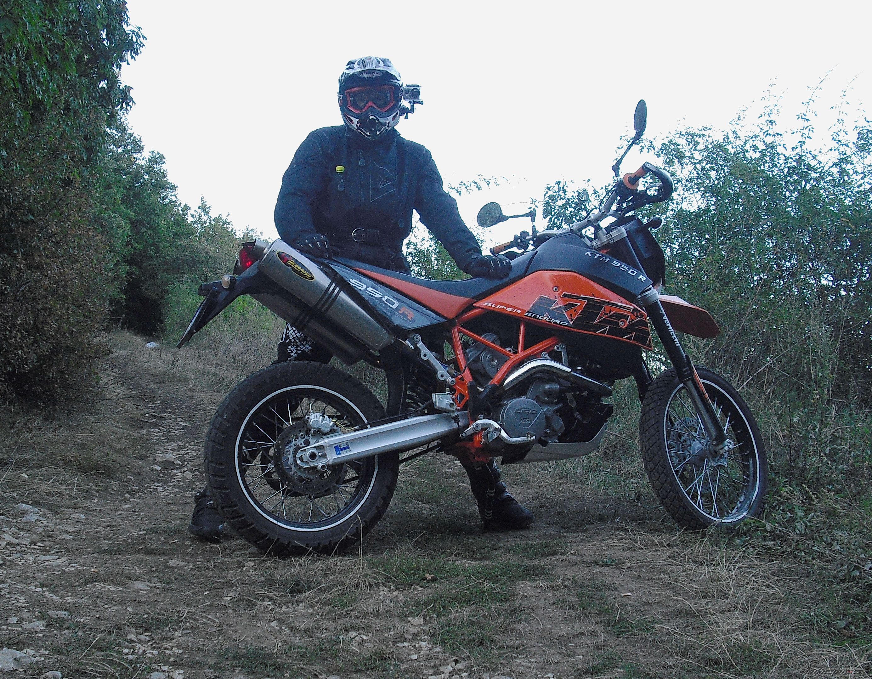 Photo 2453461