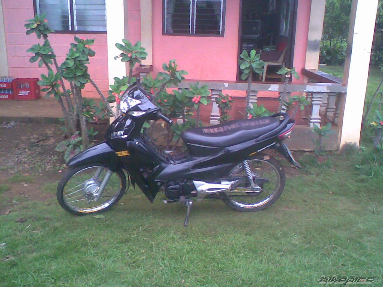 Photo 2453510