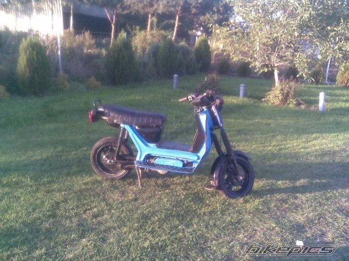 Photo 2453592