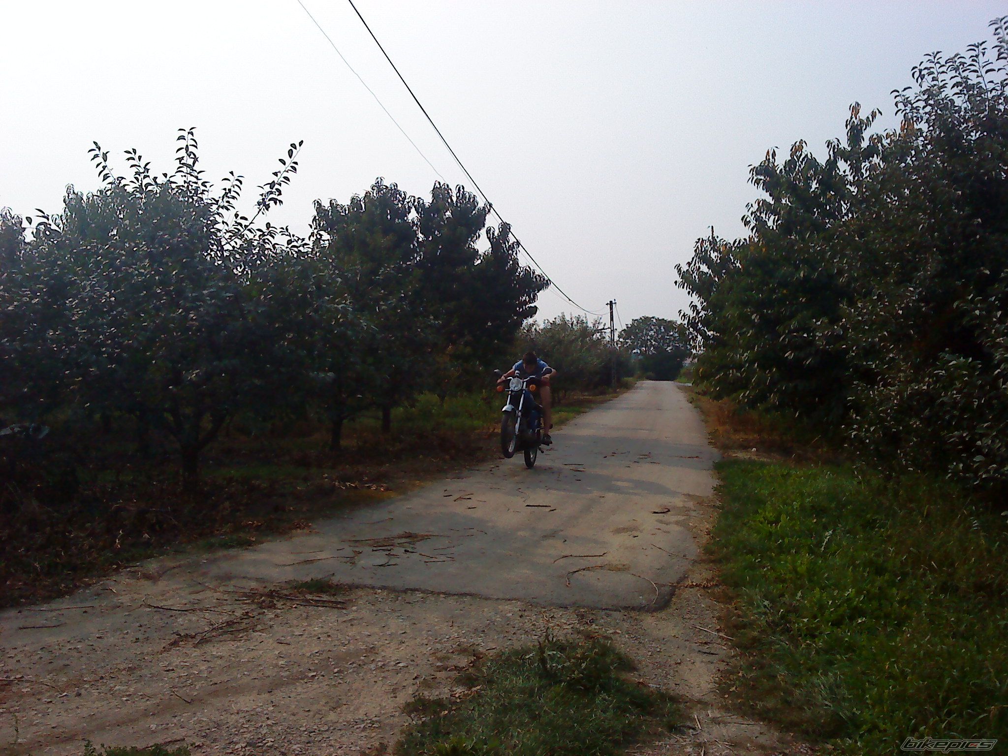 Photo 2453635