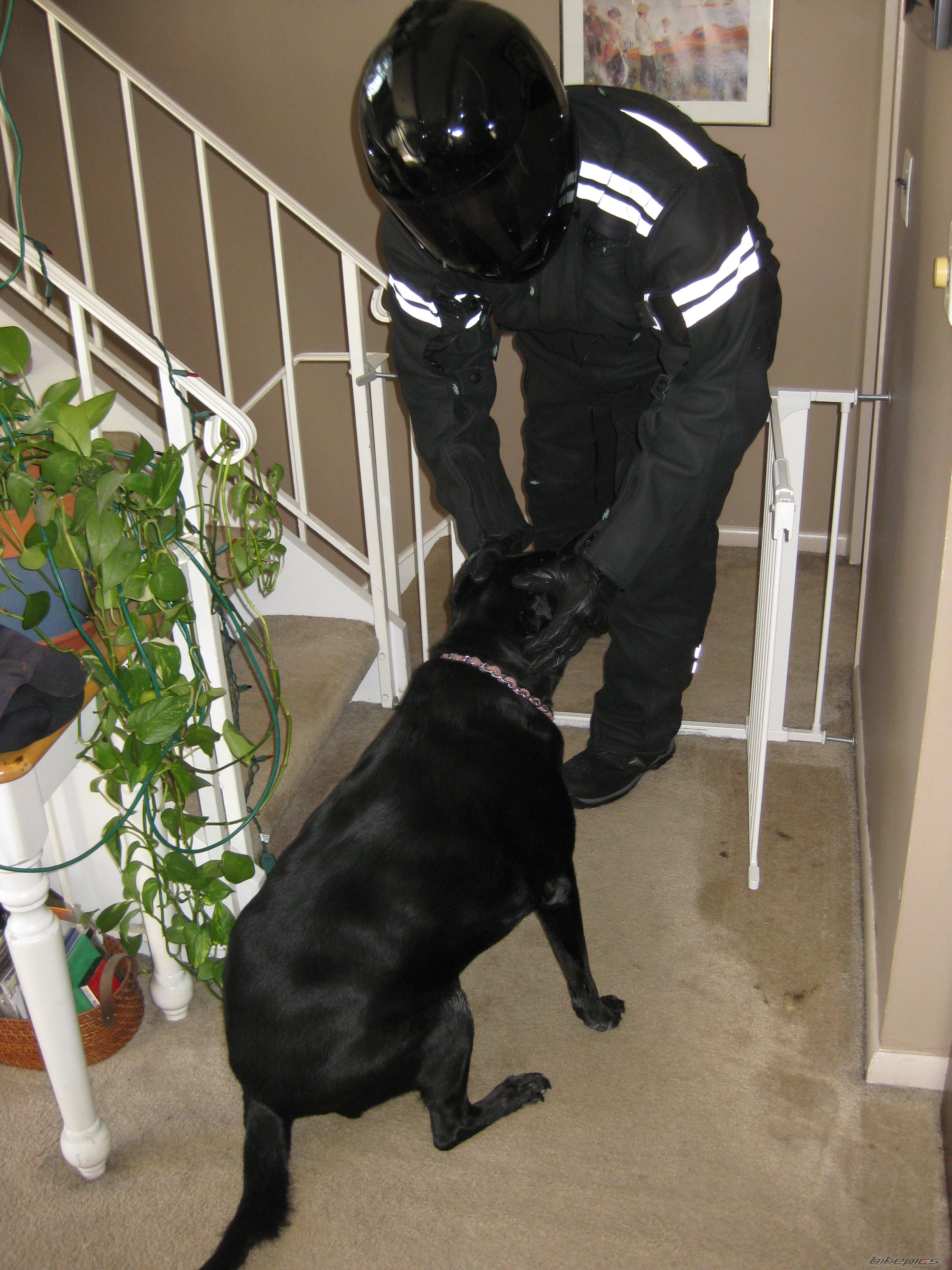 Photo 2453662