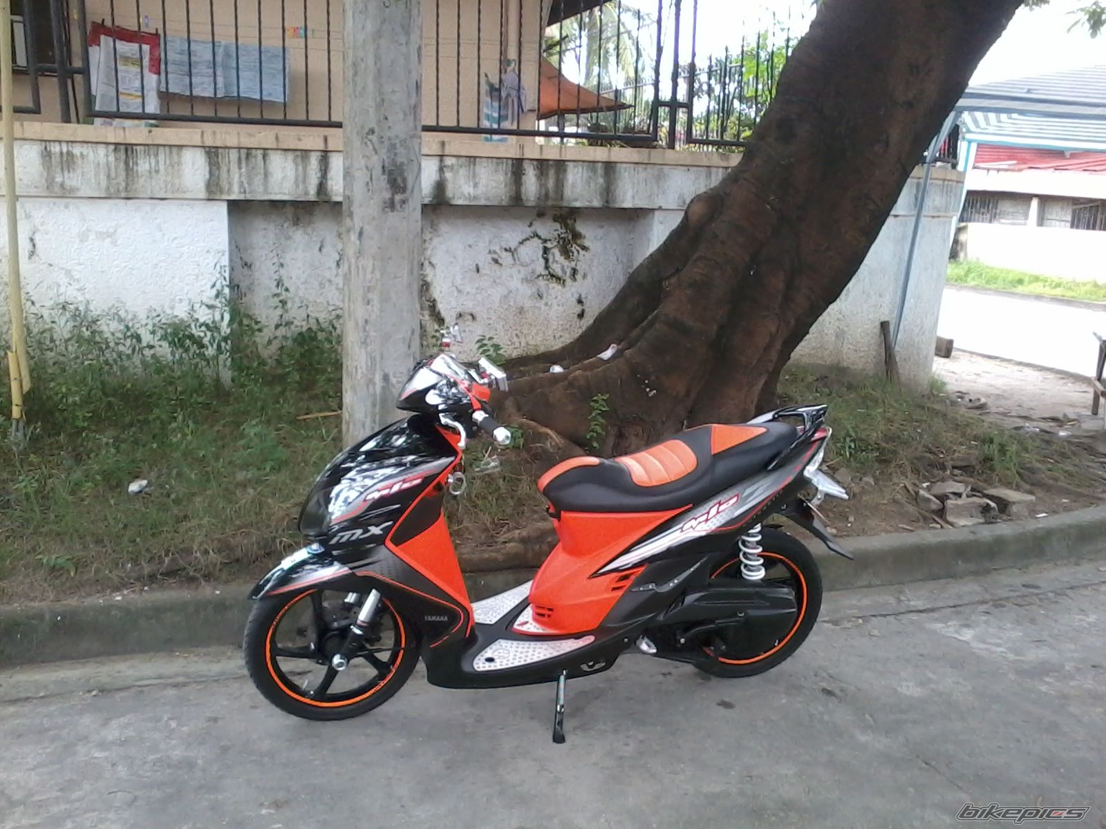 Photo 2453834